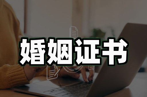 文山证件制作:传统方案 vs 数字化改造:谁更胜一筹?